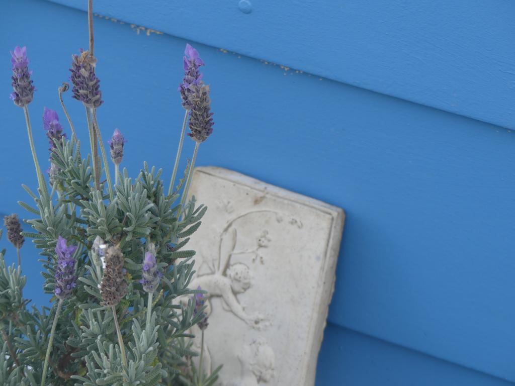 Ki Dragonfly Guesthouse キングスコート エクステリア 写真